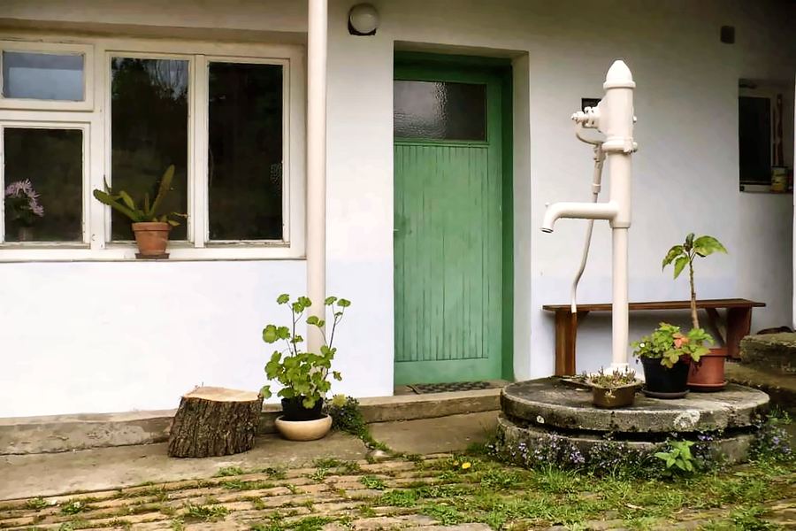 Zelené dveře chaloupky, stará pumpa a květiny v květináčích